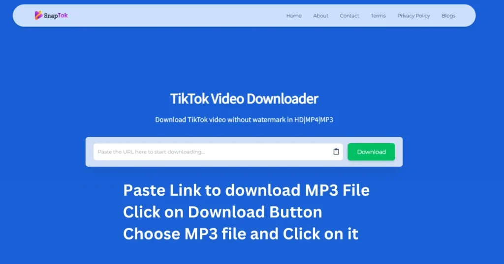 Paste-Link-to-download-MP3-File