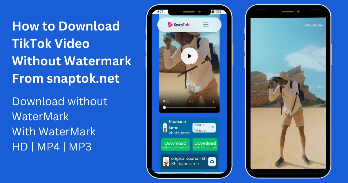 How to Download TikTok Video Without Watermark From snaptok.net